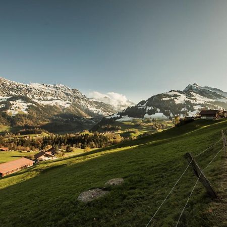 Chalet Bergwelt Frutigen Bagian luar foto