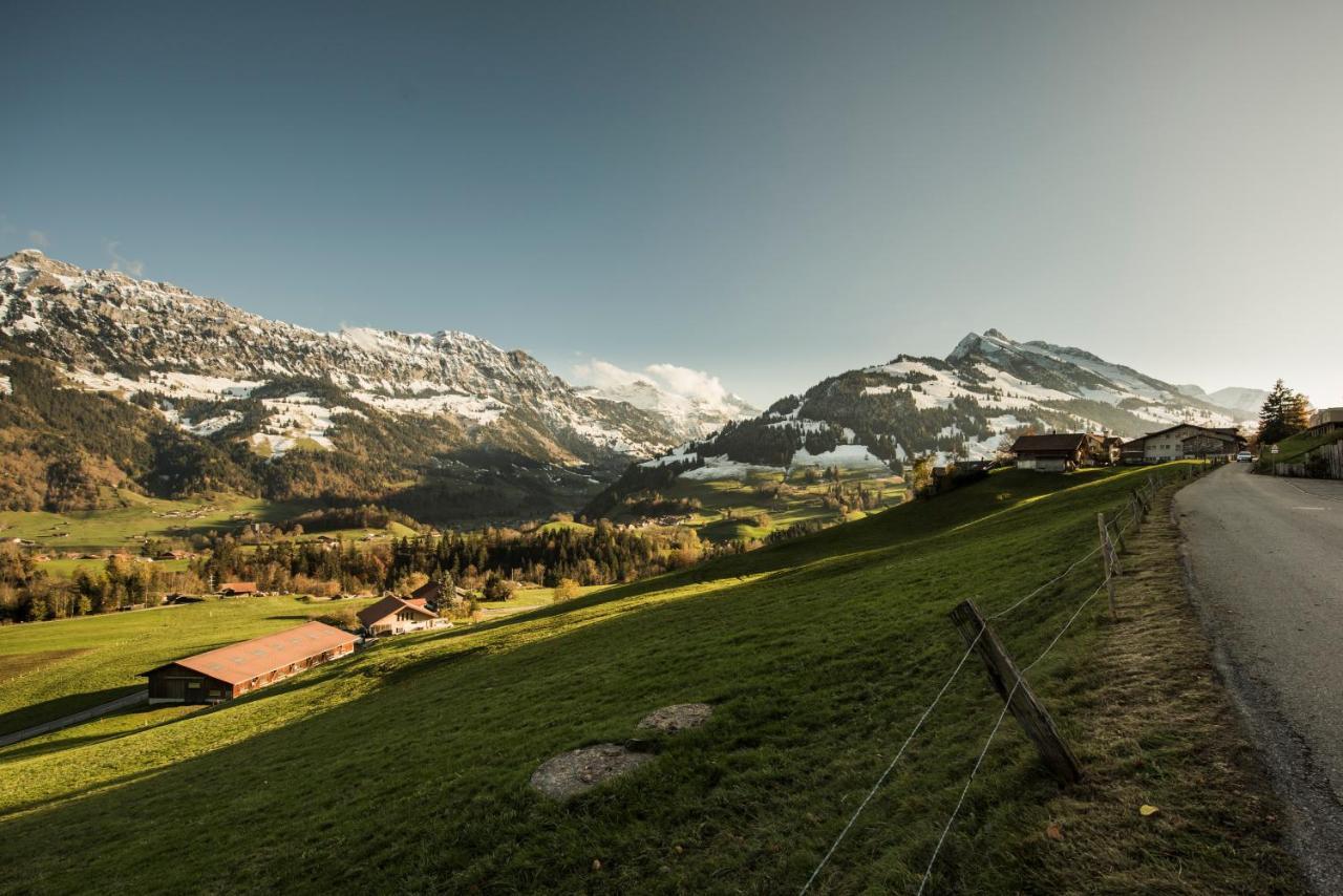Chalet Bergwelt Frutigen Bagian luar foto